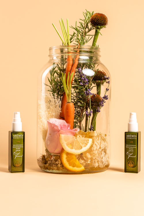 Nocturne Ferment — Crema de Noche Regeneradora